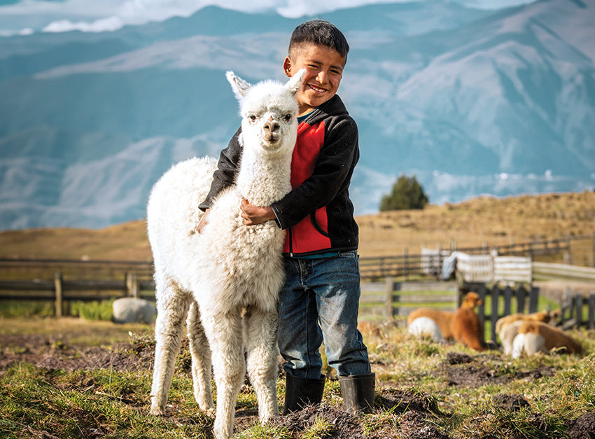 A boy smiles as he wraps his arms around an Alpaca.