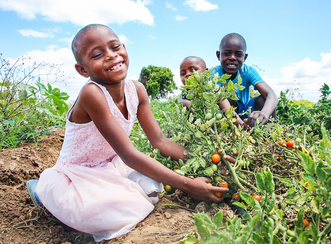 Three children smile for the camera, sitting in a garden filled with tomatoes.