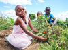 Three children smile for the camera, sitting in a garden filled with tomatoes.